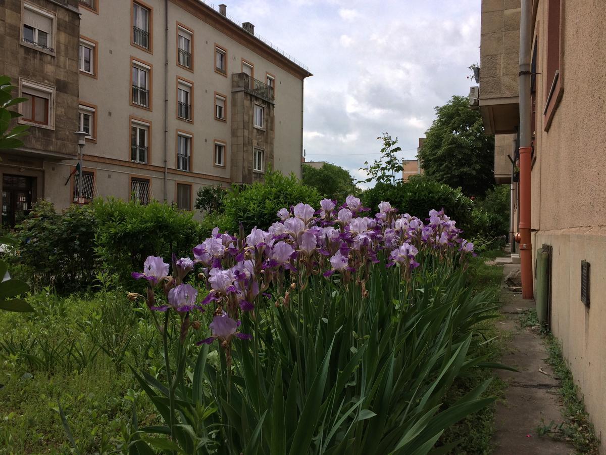 írisz Apartament